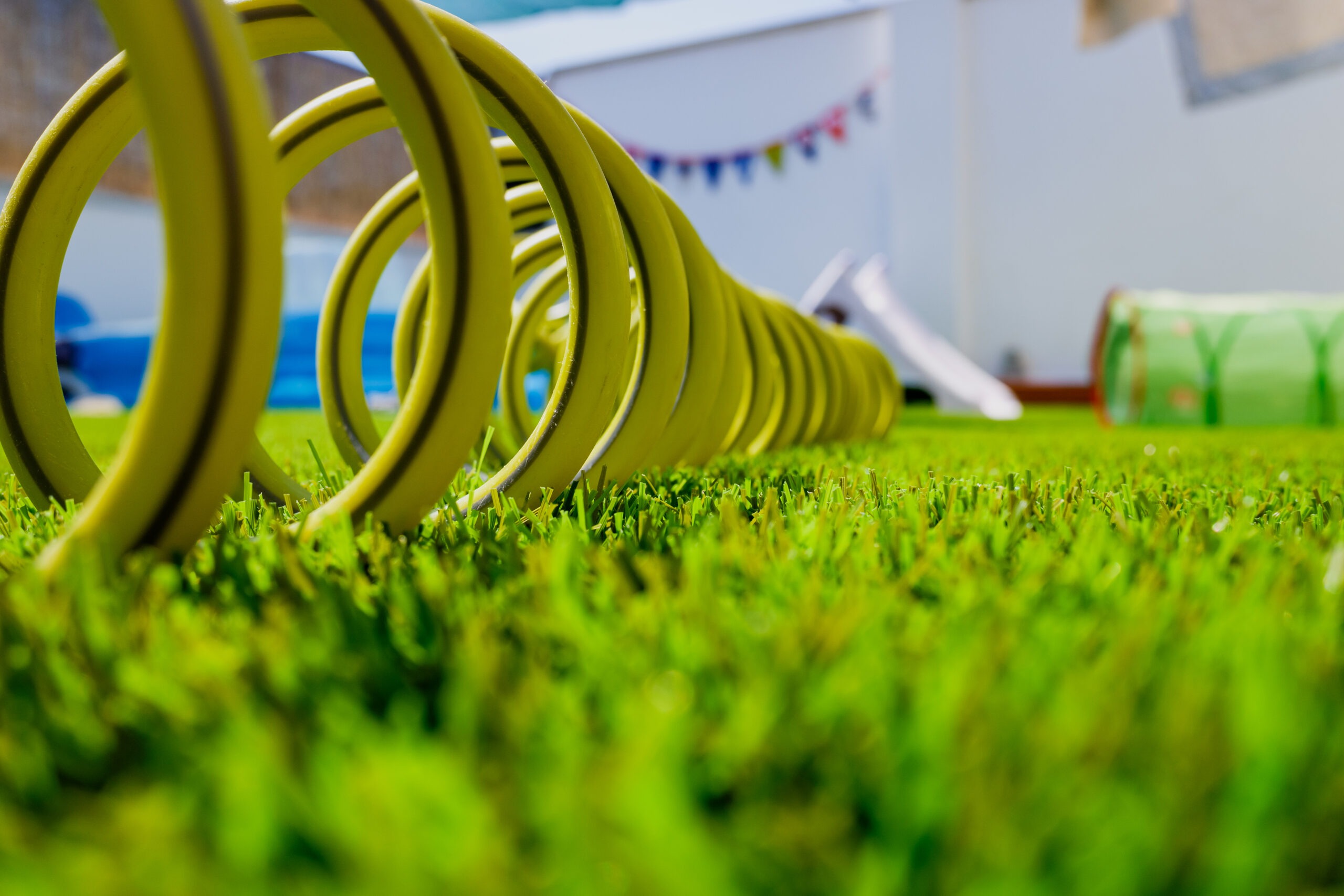 green hose on the grass and compressed coiled 2024 10 21 09 29 21 utc scaled