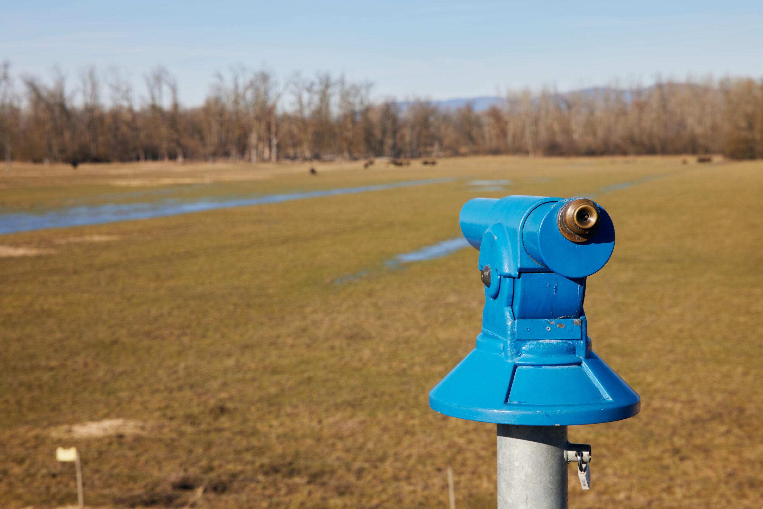 view point in bavaria germany 2024 04 03 17 49 25 utc scaled