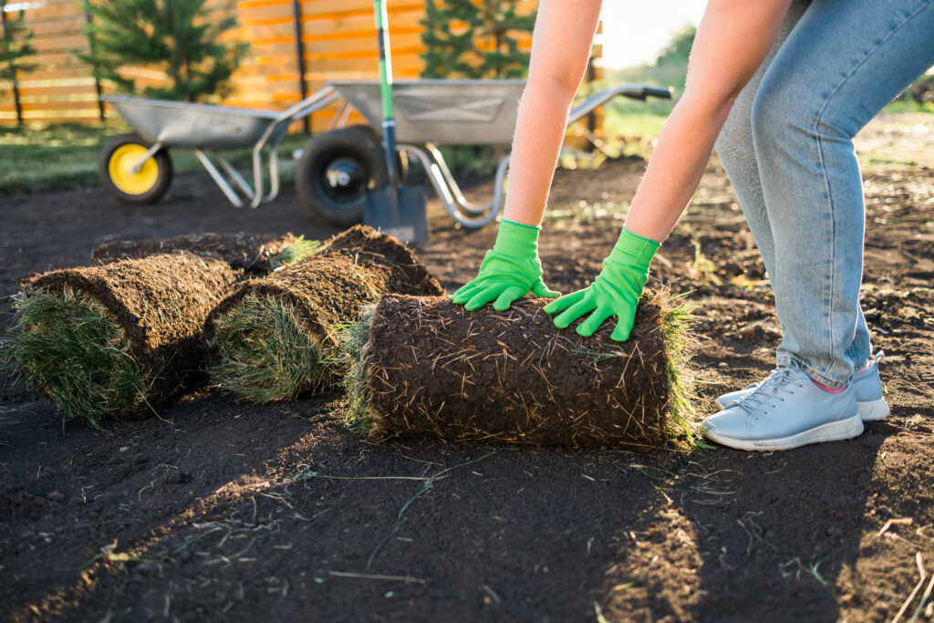 Close up woman laying sod for new garden lawn turf laying concept