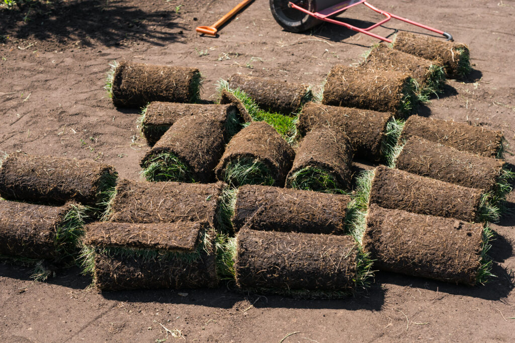 Installing new grass turfs from a roll Garden building theme