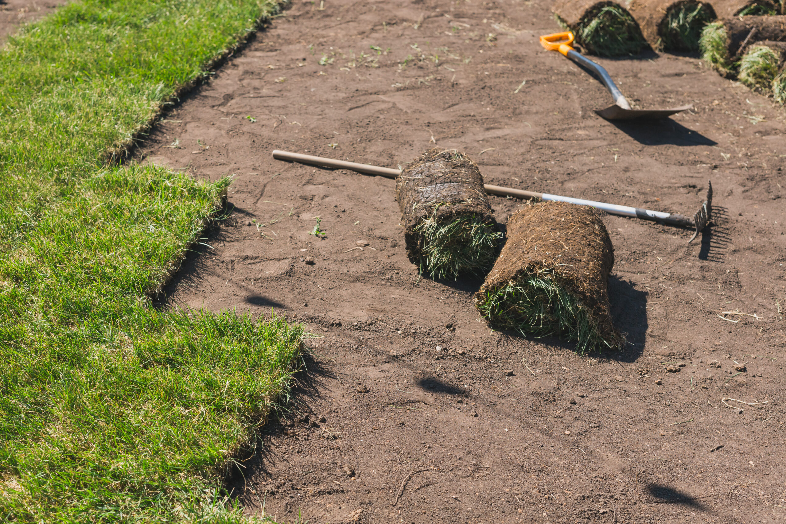 Laying sod for new garden lawn turf laying concept
