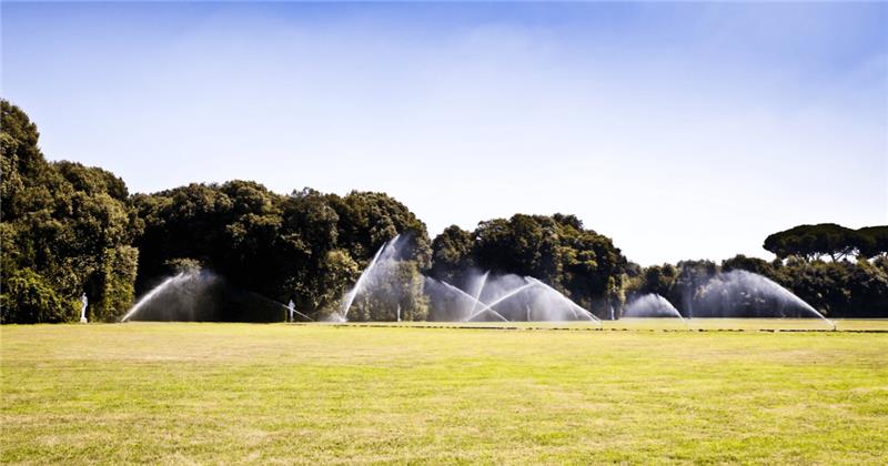 Facebook Visual Post Irrigation Insights