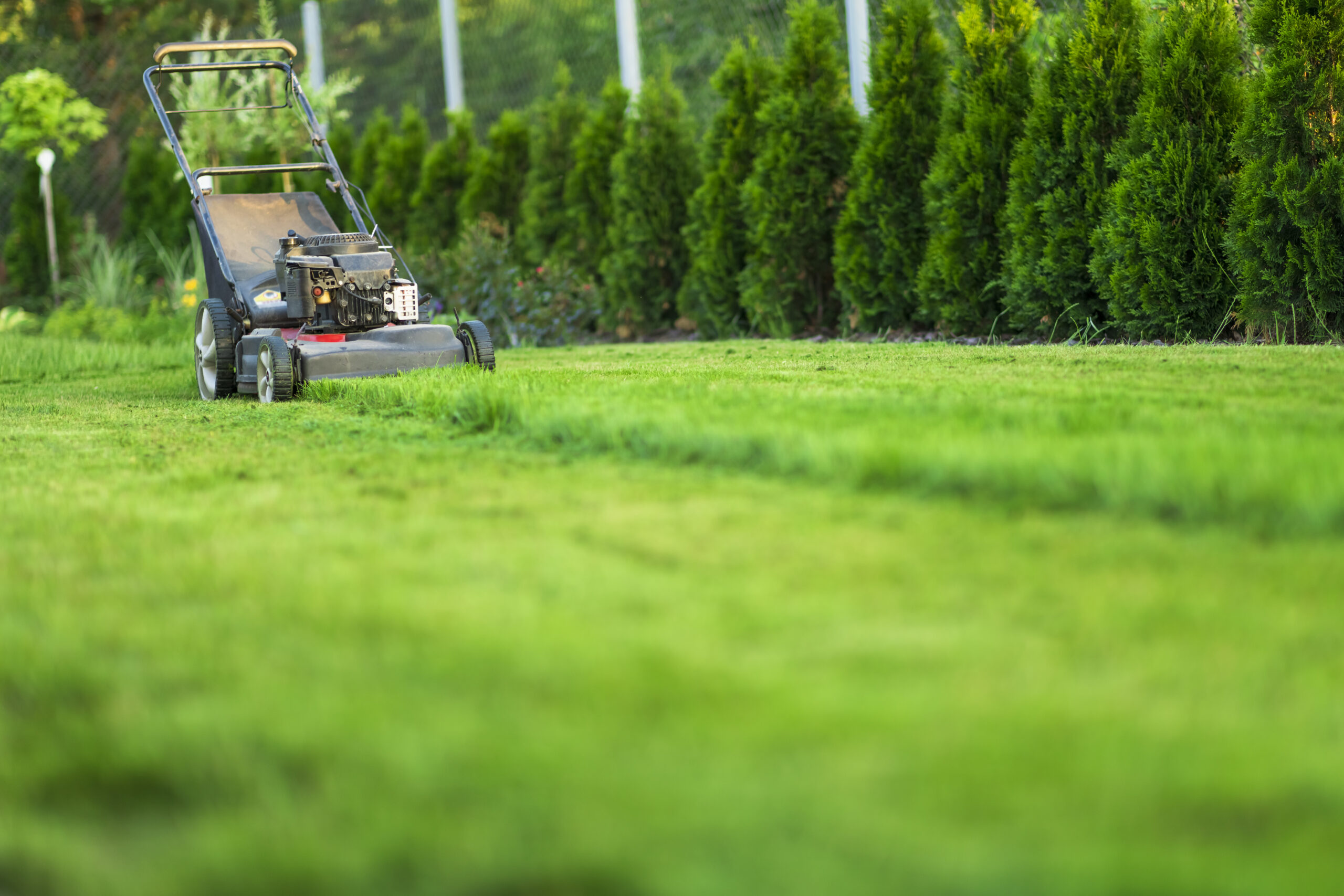 lawn mower 2025 01 29 03 47 05 utc 68c2fd8f6de227e26b50