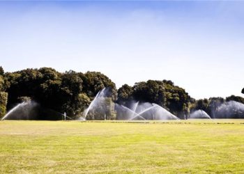 Facebook Visual Post Irrigation Insights