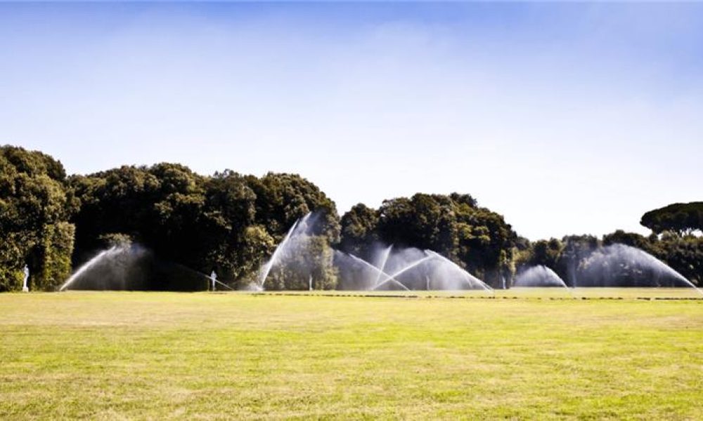 Facebook Visual Post Irrigation Insights