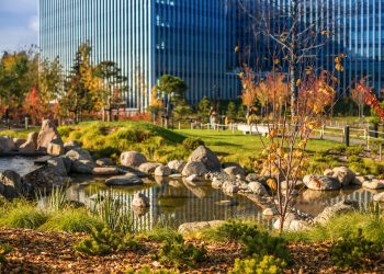 A tranquil urban park with a small pond surrounded by rocks and greenery, featuring trees with autumnal colors in the foreground and a tall building with reflective glass windows in the background. The integration of nature within an urban environment, showcasing a well-maintained park designed for relaxation.