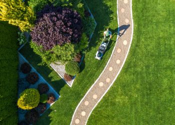 Large Beautiful Residential Backyard Garden Grass Mowing Aerial View. Caucasian Gardener Pushing Electric Cordless Grass Mower and Trimming the Lawn.