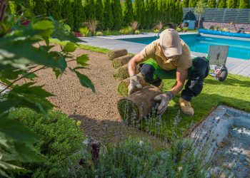 Caucasian Professional Gardener Carefully Rolling Out Turf Grass Rolls While Installing the Instant Lawn Around the Outdoor Swimming Pool. Backyard Resting Area.