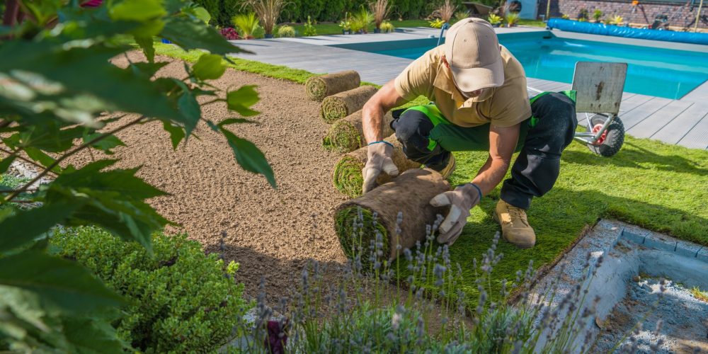 gardener rolling out turf grass 2023 11 27 04 53 04 utc scaled
