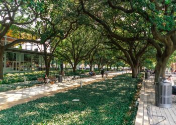 A horizontal shot of a park with green trees and buildings around it