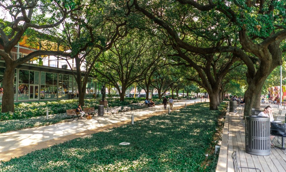 horizontal shot of a park with green trees and bui 2023 11 27 04 49 22 utc scaled