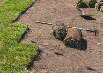 Laying sod for new garden lawn turf laying concept