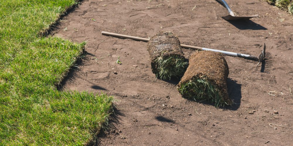 Laying sod for new garden lawn turf laying concept
