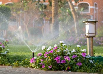 Plastic sprinkler irrigating flower bed on grass lawn with water in summer garden. Watering green vegetation duging dry season for maintaining it fresh.