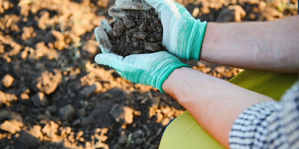 top view of farmer woman hand holding compost fert 2023 11 27 05 25 57 utc scaled