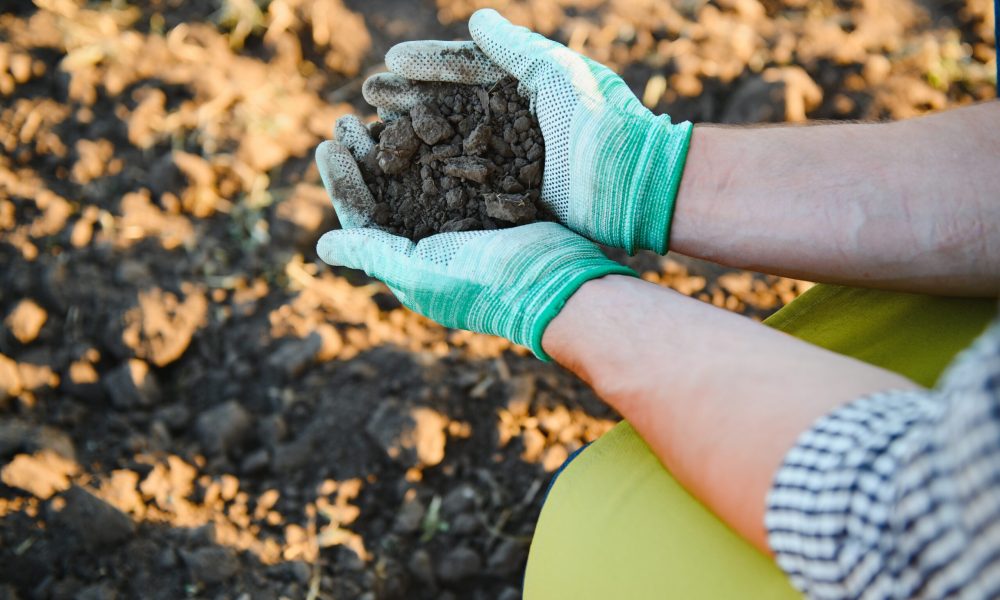top view of farmer woman hand holding compost fert 2023 11 27 05 25 57 utc scaled