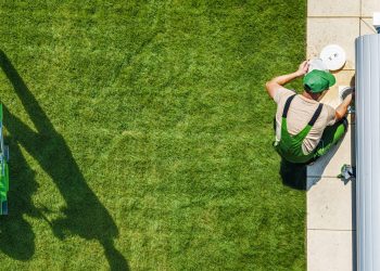 Two garden and landscaping workers performing backyard maintenance